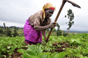 agricoltura-africa