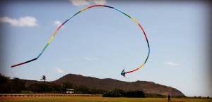 aquilone-sito_copy