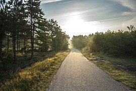 bike-path-189174__180