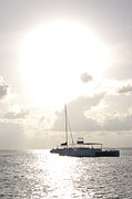 catamaran-599264__180