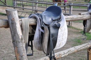 equitazione