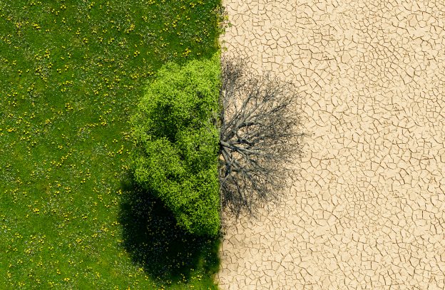 cambiamento climatico