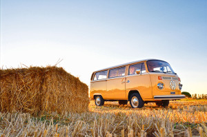 volkswagen-t1-noleggio-matrimoni-roma-5